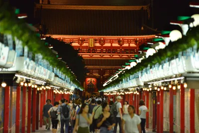 DSC_3989 (Large).JPG